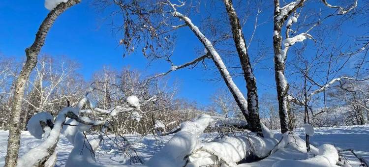 雪乡东方假日酒店图片