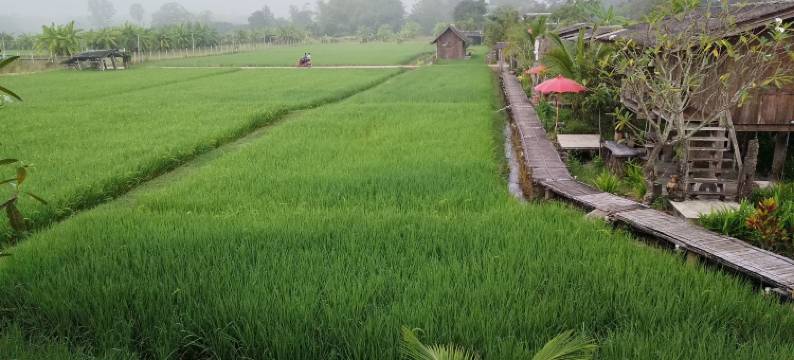 胡安坤考(hueankwankhao)图片