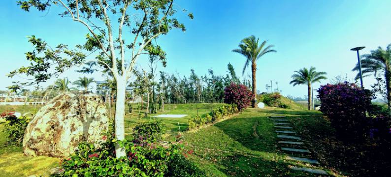 徐闻瞐喆小镇民宿(中国大陆南极村店)图片