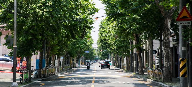 Local Stitch Creator Town 西桥洞(Local Stitch Creator Town Seogyo)图片