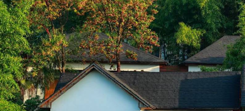 莫干山翠竹园·天真疗愈度假民宿图片