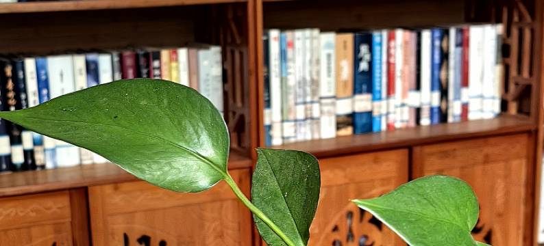 西昌邛海栖海追月民宿图片