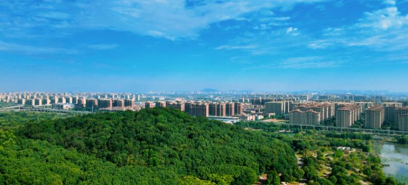 三只猫青年旅舍(芜湖汇金广场店)图片