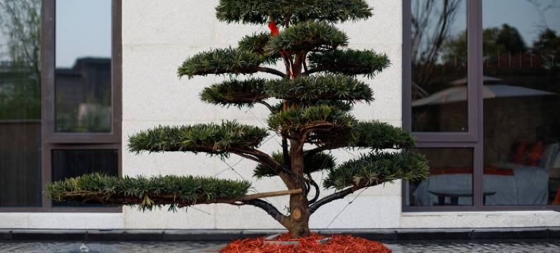 扬州瘦西湖石榴酒店图片