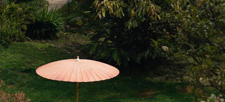 吾乡间·林舞鸟鸣庄园(田野店)图片