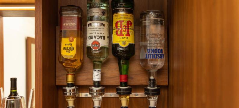 帕拉亚卡皇宫酒店 - 全包(Playacar Palace - All Inclusive)图片