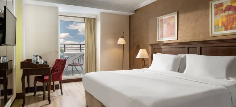 塔克西姆西方酒店(Occidental Taksim)图片