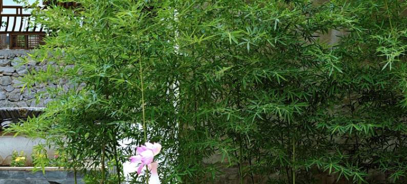 查济安予.喜舍四合院民宿图片