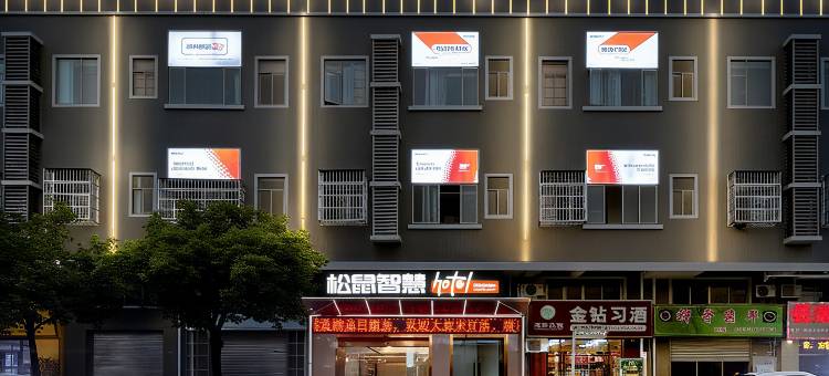 松鼠智慧酒店(佛山平洲玉器街地铁站店)图片