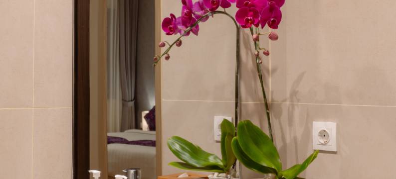 乌布埃维特尔度假村(The Evitel Resort Ubud)图片