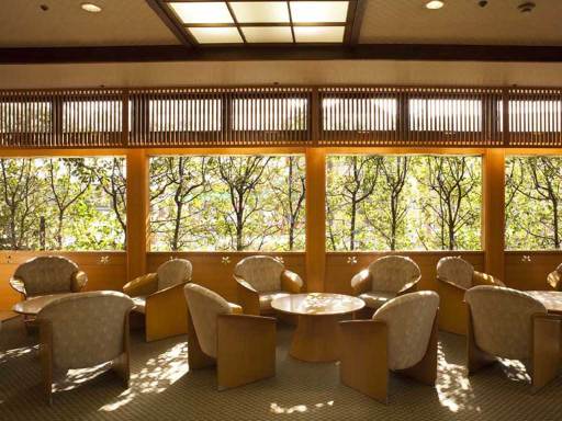 Dogo Prince HotelOver view