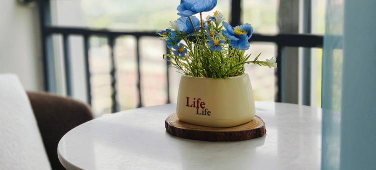 青果民宿(内江万达广场店)图片