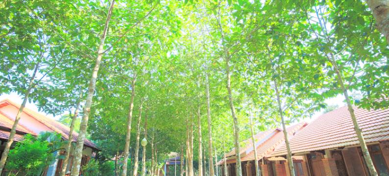 富国岛花园别墅度假村(The Garden House Phu Quoc Resort)图片