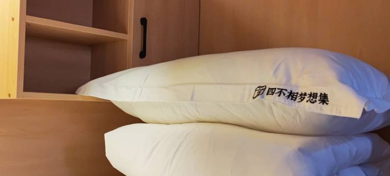 四不相梦想集青年旅舍(武汉园博园店)图片