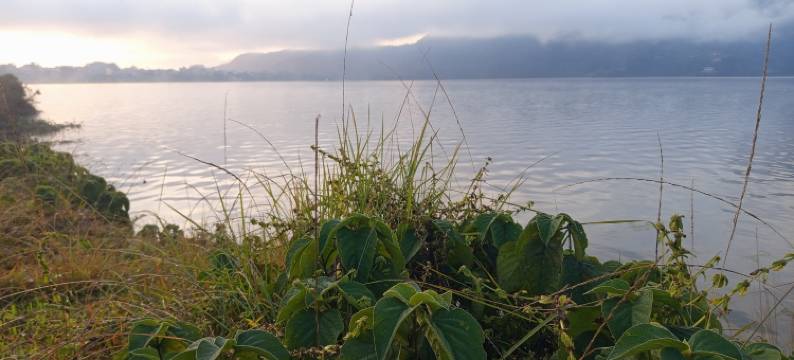 Annapurna Himdrishya Pokhara Homestay图片