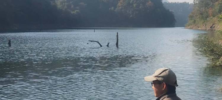 青阳吴金霞特色民宿图片