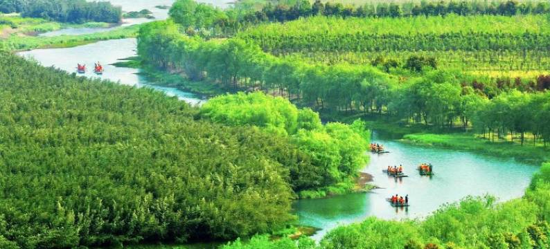 安吉桃源慢谷民宿(中南百草原店)图片