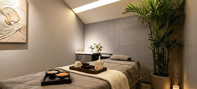 晋凰栖·私汤疗愈·HOLIDAY HEALTH HOTEL·民宿(大同古城店)图片