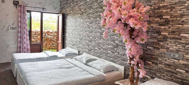 自然度假村(Nature's Resort)图片