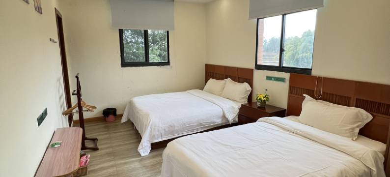 邻水向日葵基地图片