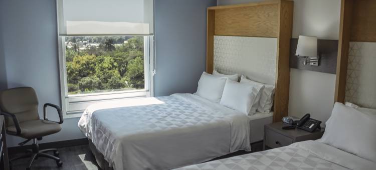 Holiday Inn 乌鲁阿潘(Holiday Inn Uruapan)图片