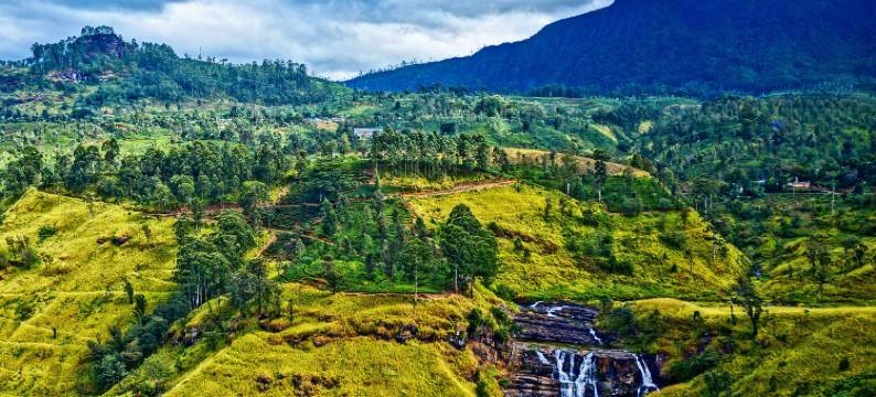 茶园别墅(Villa Tea Fields)图片