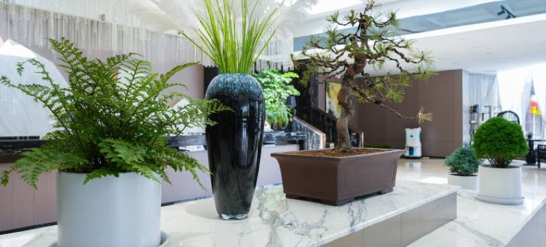 如皋九华山庄花园酒店图片