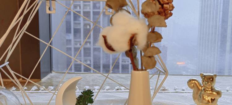 如棠巨幕影音公寓(河西万达广场店)图片