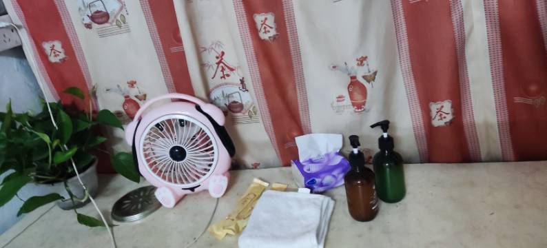 东莞麻涌市场出租房图片