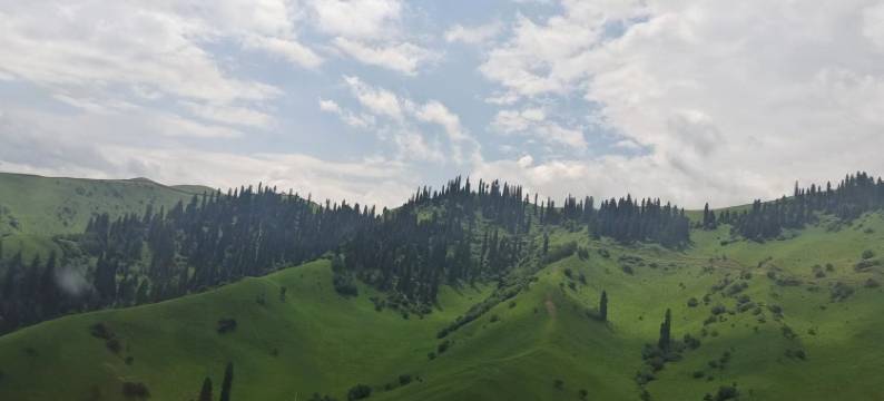 新源马学虎乡村客栈图片