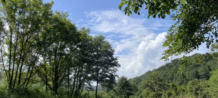 既在山下·高老莊|ParadiseVillage旅居民宿(天堂寨景区店)图片
