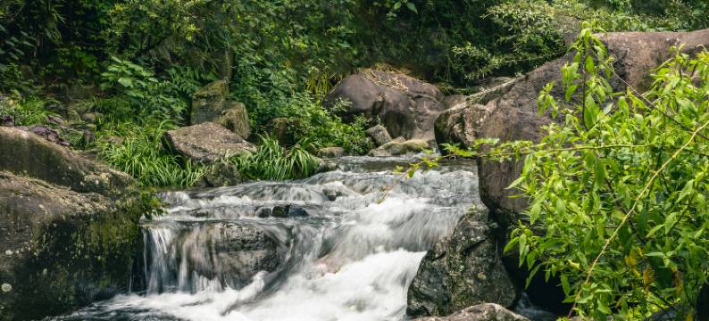 安吉树朝农庄图片