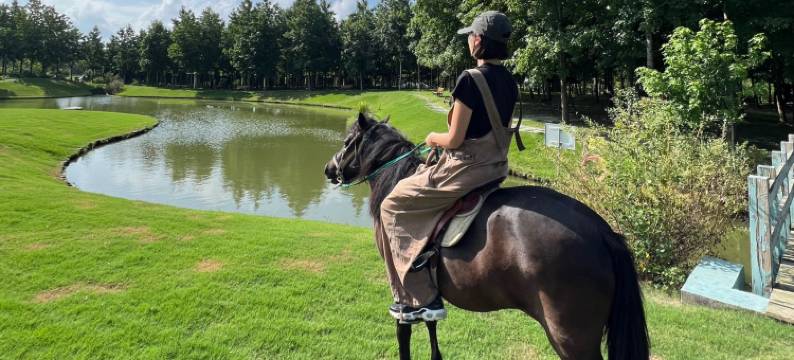 上海香朵开心农场图片