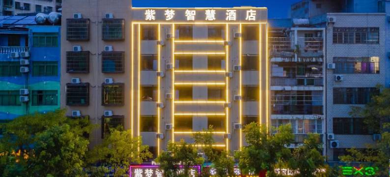 紫梦智慧酒店(海南工商学院店)图片