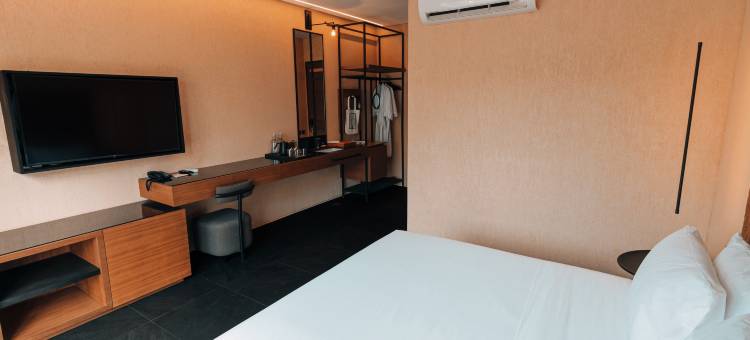 趣狮子 - 蒲甘(The Funny Lion - Puerto Princesa)图片