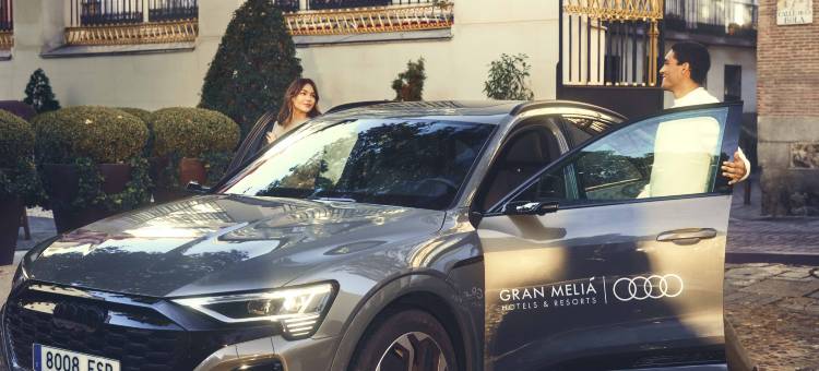 唐佩普盛美利亚酒店(Hotel Don Pepe Gran Meliá)图片