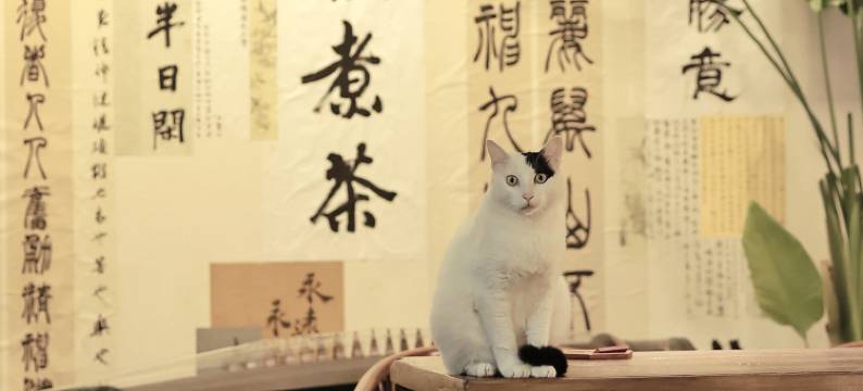 绍兴拾贰朴宿(鲁迅故里店)图片