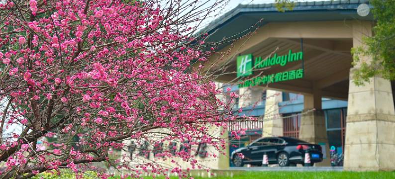 昆山花桥中城假日酒店图片