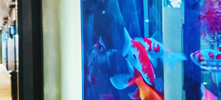 天苑精品酒店(延津县政府店)图片