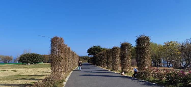 OYO大理溪水客栈图片