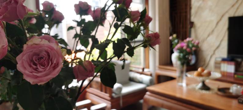 良栖山居(茅山东方盐湖城店)图片