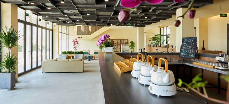 盆罐陶然精品民宿图片