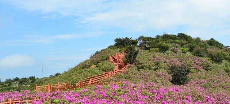 维也纳酒店(潮州凤凰新城店)图片