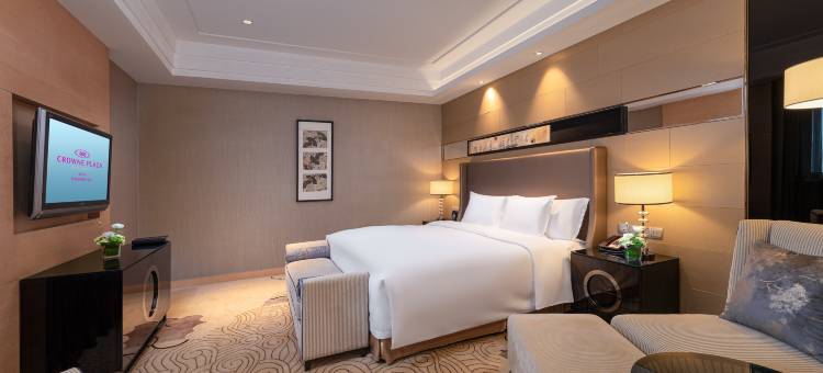 西安皇冠假日酒店(小雁塔西安博物院店)图片