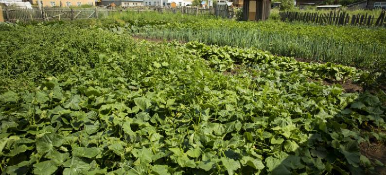 额尔古纳奥列格木屋民宿图片