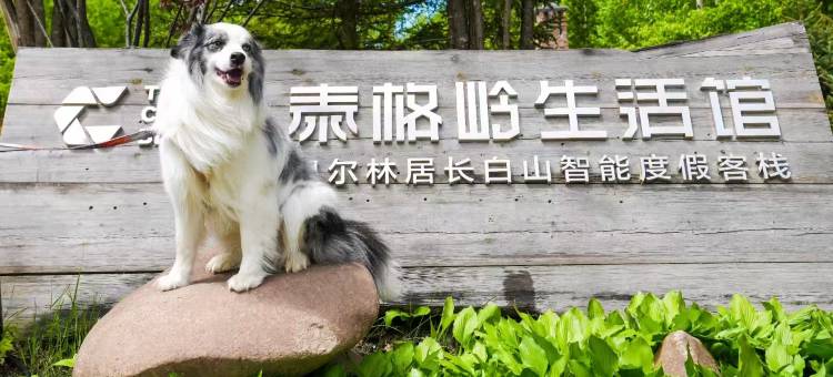 长白山偶尔·林居智能度假客栈(长白山西景区旅游服务集散中心店)图片