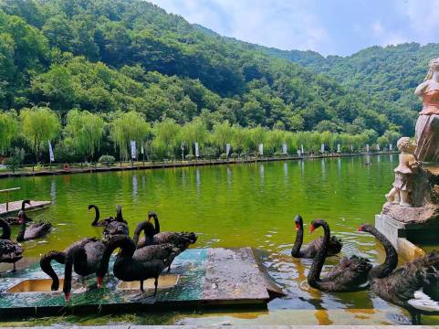 栾川兰岸民宿(重渡沟店)图片