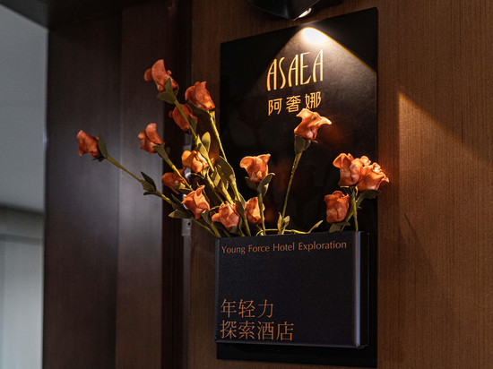 阿奢娜 · Designer Hotel(深圳罗湖水贝珠宝城店)