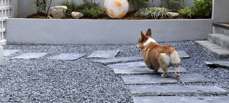 景德镇星瓷·逸舍民宿(陶溪川文创街区店)图片