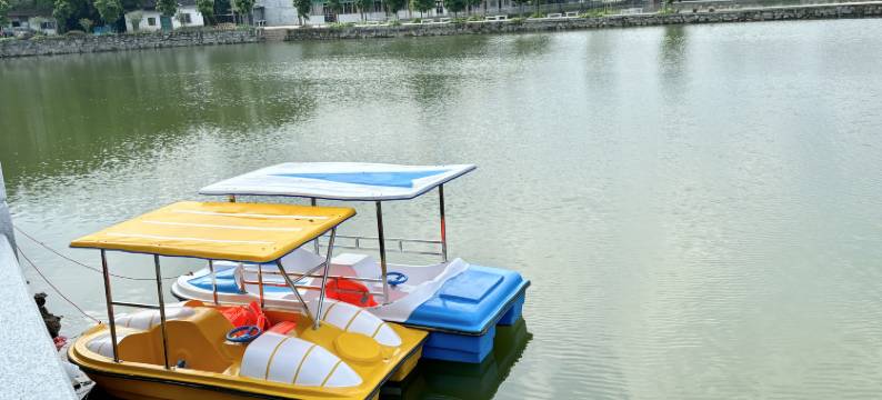 惠州博罗瑞地茗居酒店(万亩茶园店)图片